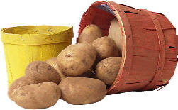 Bild Kartoffeln