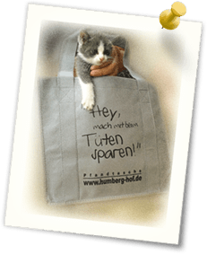 BILD Pfandtasche mit Kätzchen