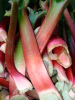 Rhabarber