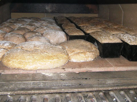 Brote im Ofen