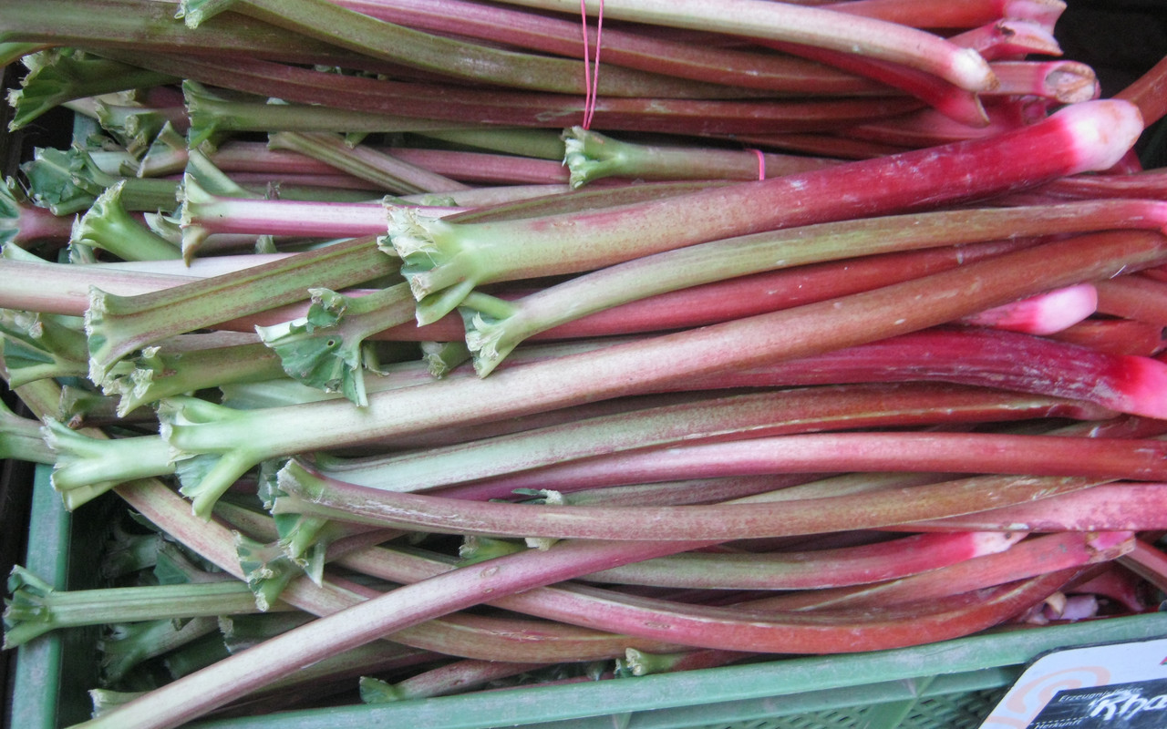 Rhabarber
